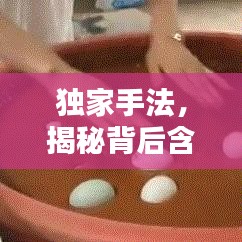 独家手法，揭秘背后含义与独特应用