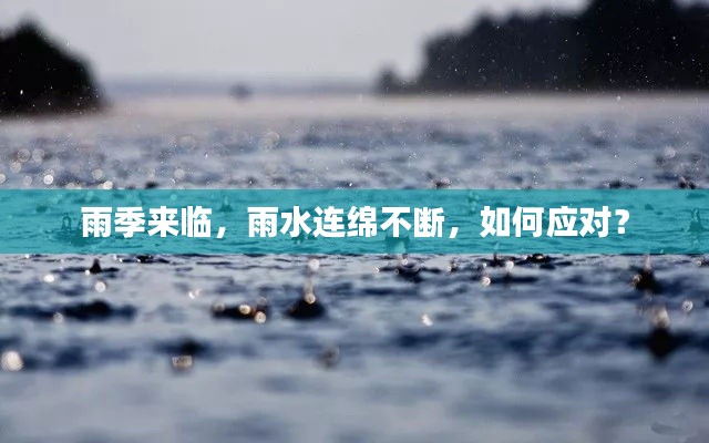 雨季来临，雨水连绵不断，如何应对？