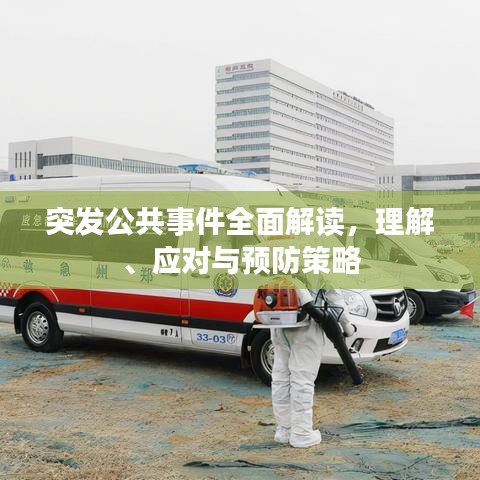 突发公共事件全面解读，理解、应对与预防策略