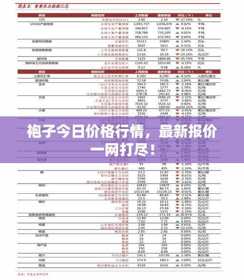 袍子今日价格行情，最新报价一网打尽！