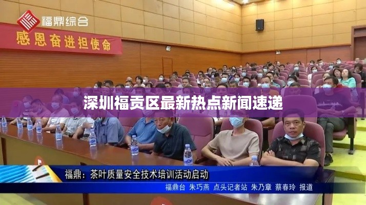 深圳福贡区最新热点新闻速递