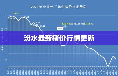 汾水最新猪价行情更新