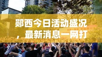 郧西今日活动盛况，最新消息一网打尽