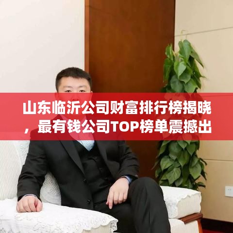 山东临沂公司财富排行榜揭晓，最有钱公司TOP榜单震撼出炉！