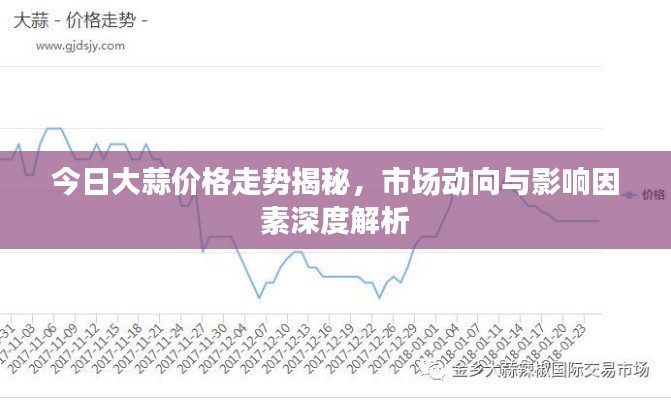 今日大蒜价格走势揭秘，市场动向与影响因素深度解析