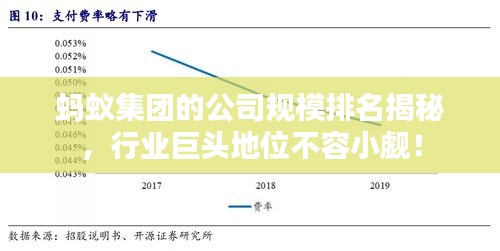 蚂蚁集团的公司规模排名揭秘，行业巨头地位不容小觑！