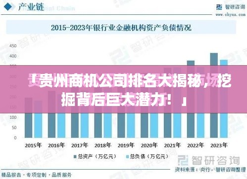 「贵州商机公司排名大揭秘，挖掘背后巨大潜力！」