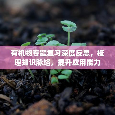 有机物专题复习深度反思，梳理知识脉络，提升应用能力