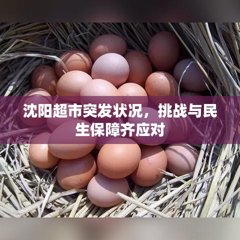 沈阳超市突发状况，挑战与民生保障齐应对