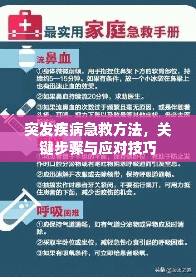 突发疾病急救方法，关键步骤与应对技巧