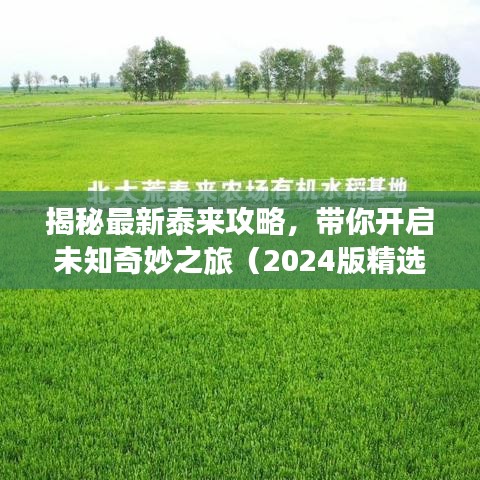 揭秘最新泰来攻略，带你开启未知奇妙之旅（2024版精选指南）