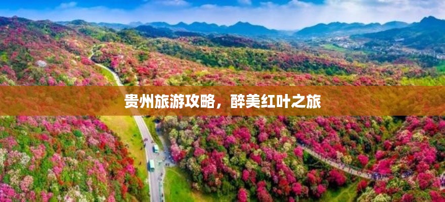 贵州旅游攻略，醉美红叶之旅