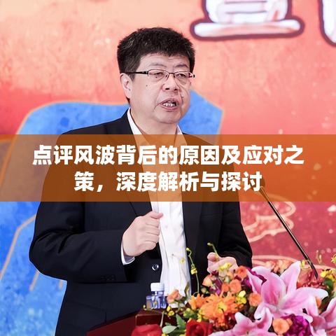 点评风波背后的原因及应对之策，深度解析与探讨