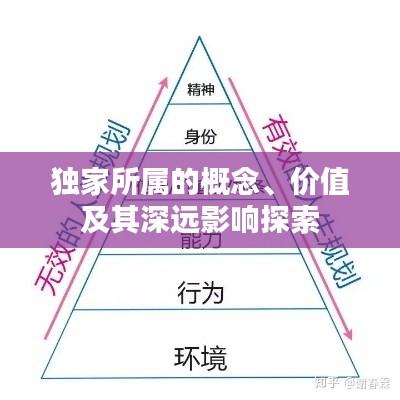 独家所属的概念、价值及其深远影响探索