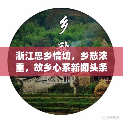 浙江思乡情切，乡愁浓重，故乡心系新闻头条