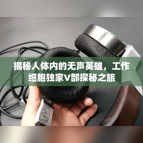 揭秘人体内的无声英雄，工作细胞独家V部探秘之旅