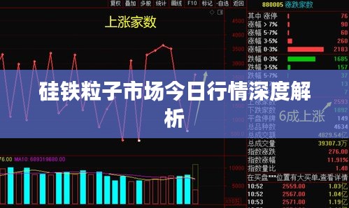 硅铁粒子市场今日行情深度解析