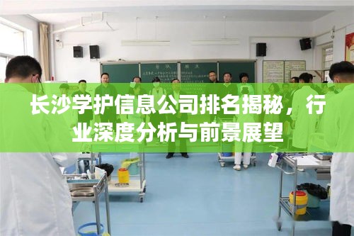 长沙学护信息公司排名揭秘，行业深度分析与前景展望