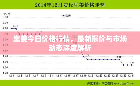 生姜今日价格行情，最新报价与市场动态深度解析