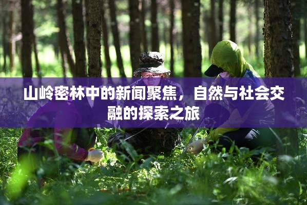 山岭密林中的新闻聚焦，自然与社会交融的探索之旅