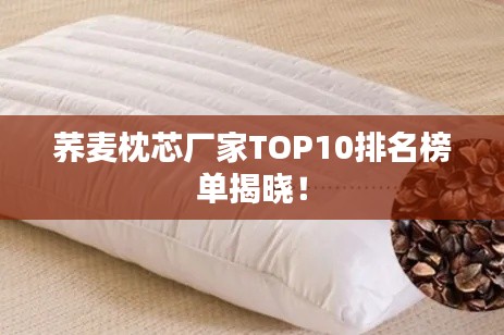 荞麦枕芯厂家TOP10排名榜单揭晓！