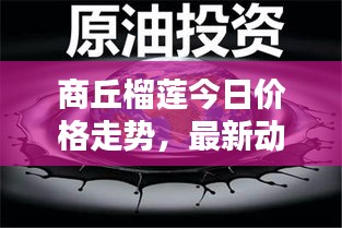 商丘榴莲今日价格走势，最新动态与行情分析