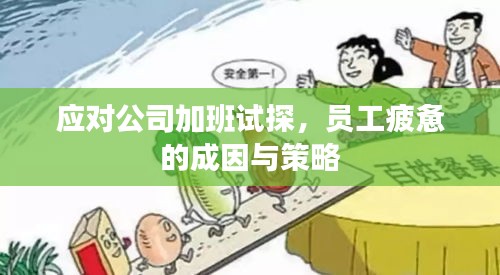 应对公司加班试探，员工疲惫的成因与策略