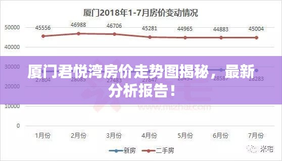 2025年2月17日 第3页