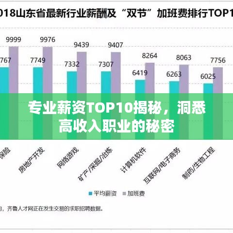 专业薪资TOP10揭秘，洞悉高收入职业的秘密