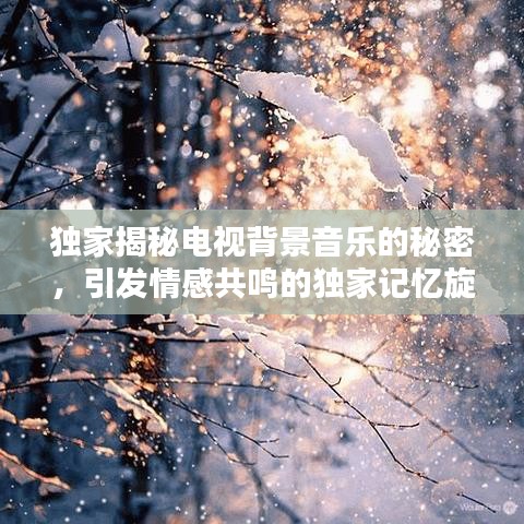 独家揭秘电视背景音乐的秘密，引发情感共鸣的独家记忆旋律