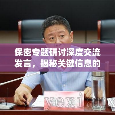 保密专题研讨深度交流发言，揭秘关键信息的保护之道