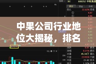中果公司行业地位大揭秘，排名分析揭示市场影响力