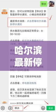 哈尔滨最新停水信息查询通知公告