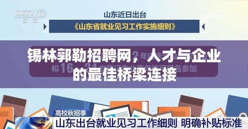 锡林郭勒招聘网，人才与企业的最佳桥梁连接