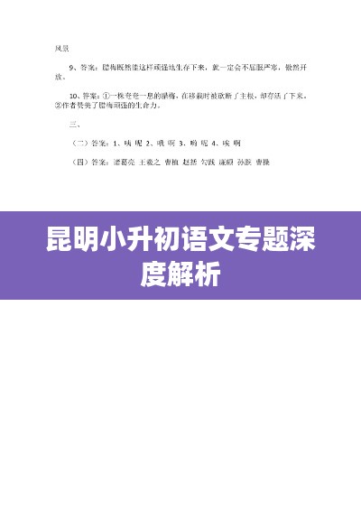 昆明小升初语文专题深度解析