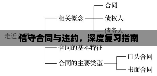 信守合同与违约，深度复习指南