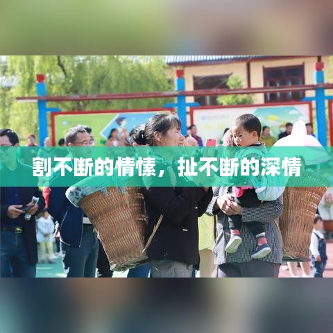 割不断的情愫，扯不断的深情