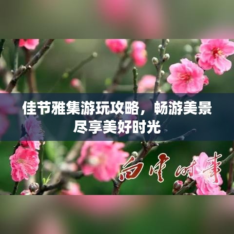 佳节雅集游玩攻略，畅游美景尽享美好时光