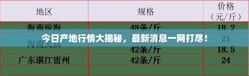 今日产地行情大揭秘，最新消息一网打尽！