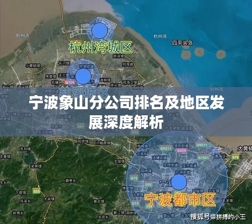 宁波象山分公司排名及地区发展深度解析