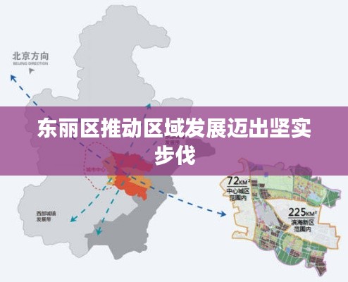 东丽区推动区域发展迈出坚实步伐