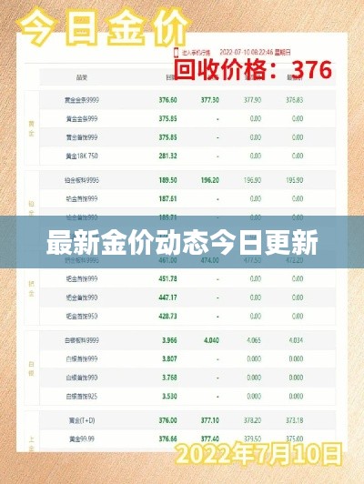 最新金价动态今日更新