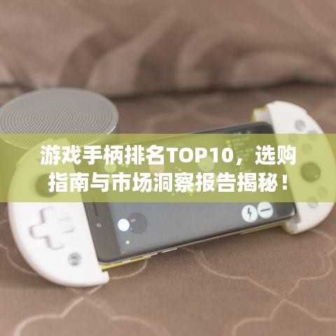 游戏手柄排名TOP10，选购指南与市场洞察报告揭秘！