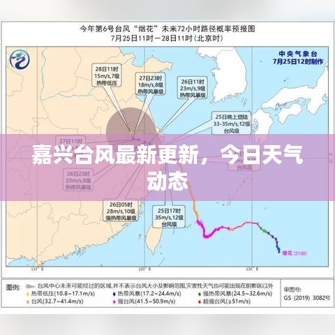 嘉兴台风最新更新，今日天气动态