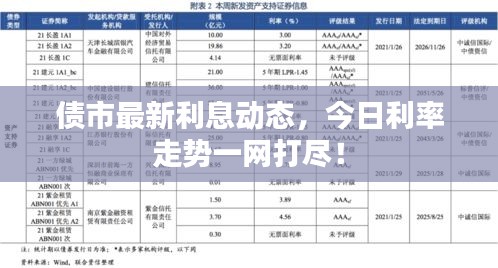 债市最新利息动态，今日利率走势一网打尽！