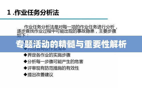 专题活动的精髓与重要性解析