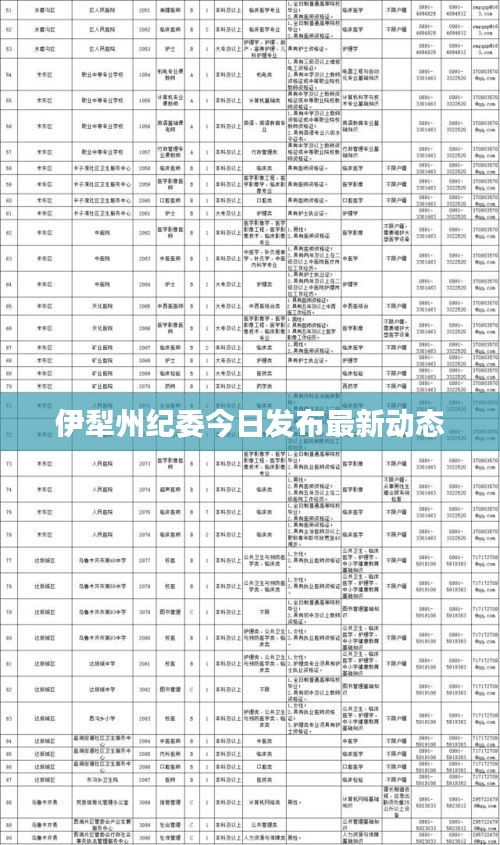 伊犁州纪委今日发布最新动态