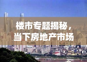 楼市专题揭秘，当下房地产市场的新趋势与挑战探索