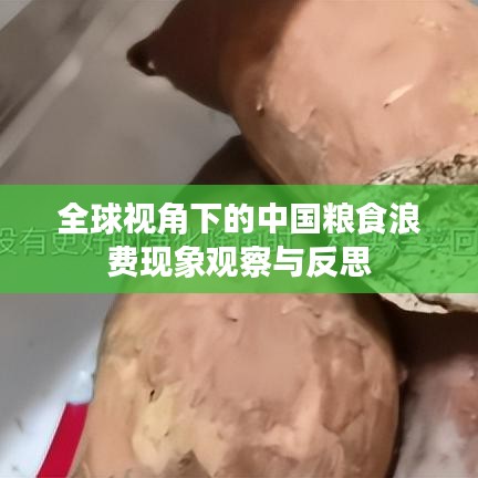 全球视角下的中国粮食浪费现象观察与反思