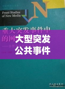 大型突发公共事件的应对与反思，深度剖析，引人深思